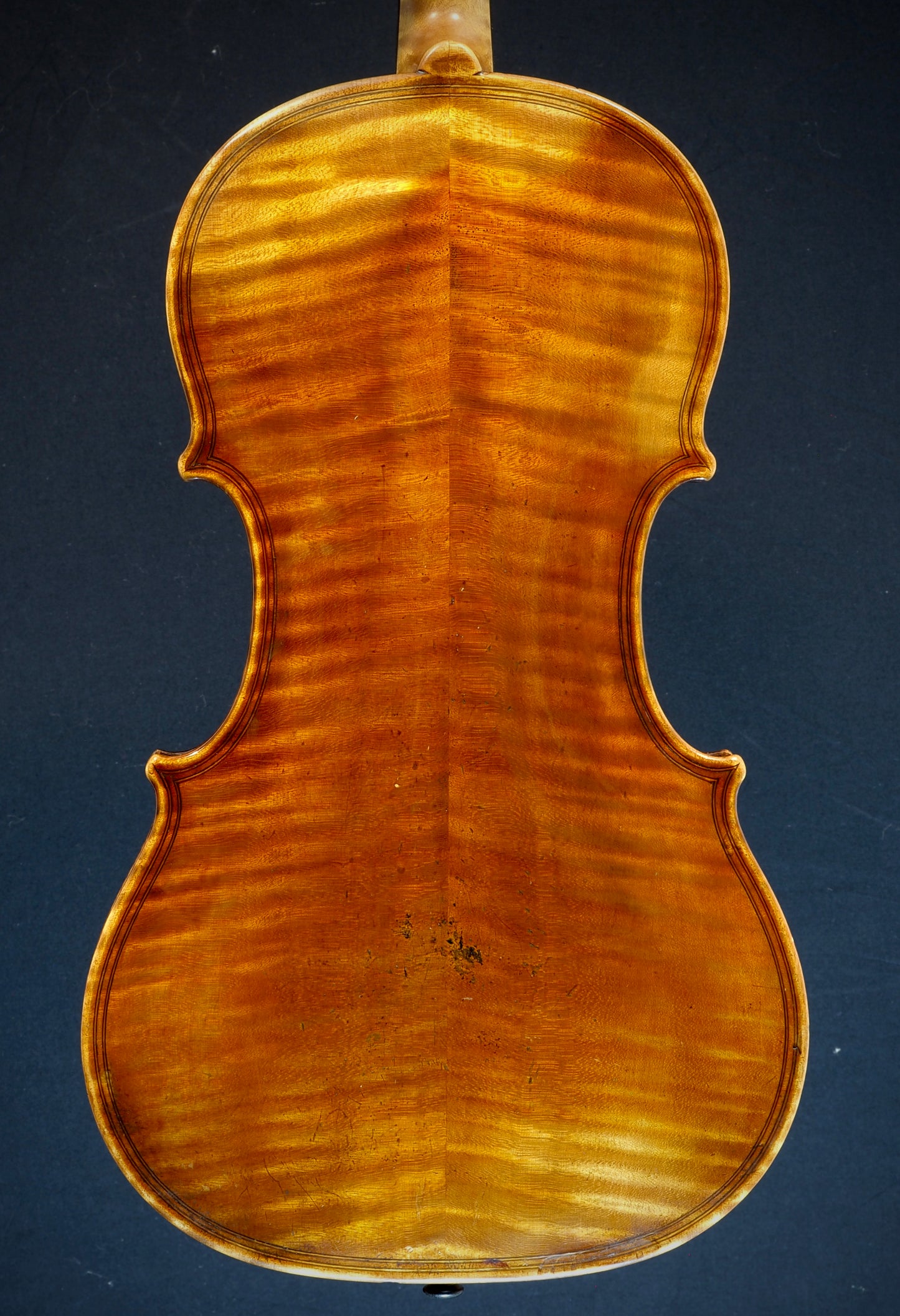 Viola Gustav Naese, Dresden 1887 - Maggini-Modell