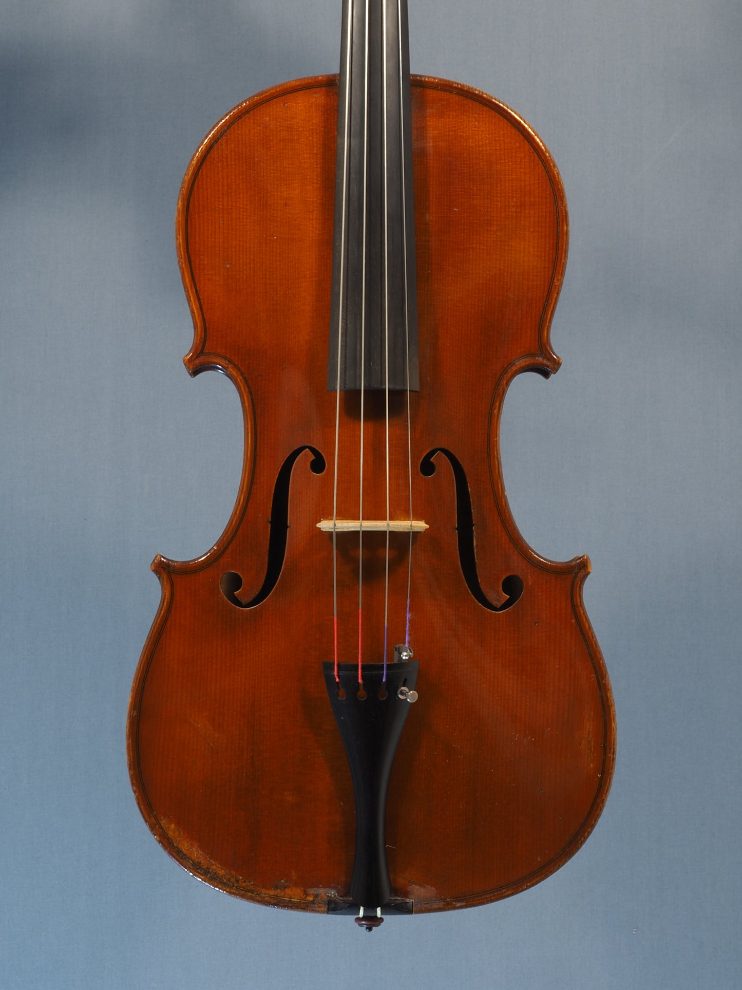 Genuzio Carletti – Viola 1949