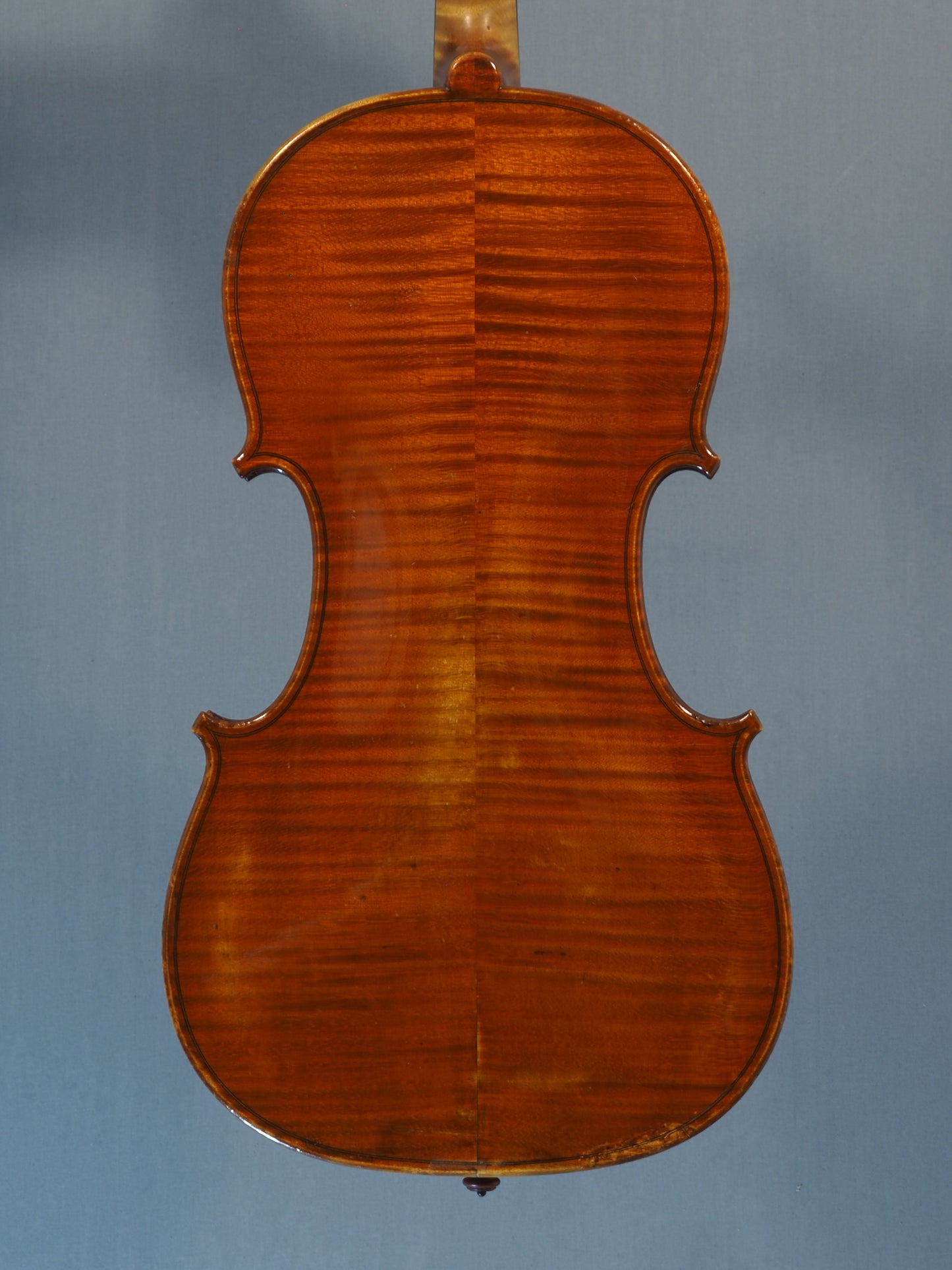 Genuzio Carletti – Viola 1949